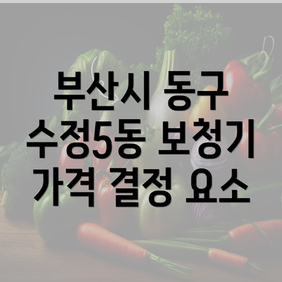 부산시 동구 수정5동 보청기 가격 결정 요소