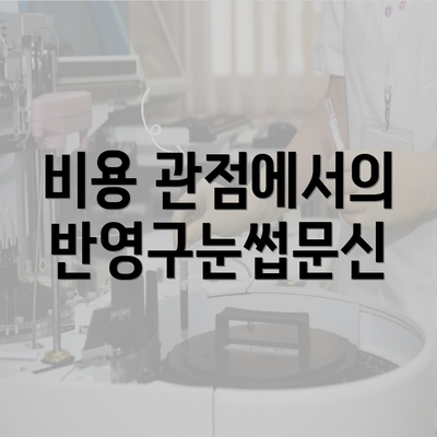 비용 관점에서의 반영구눈썹문신