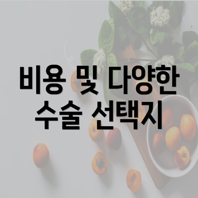 비용 및 다양한 수술 선택지