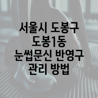 서울시 도봉구 도봉1동 눈썹문신 반영구 관리 방법