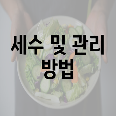 세수 및 관리 방법