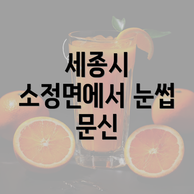 세종시 소정면에서 눈썹 문신