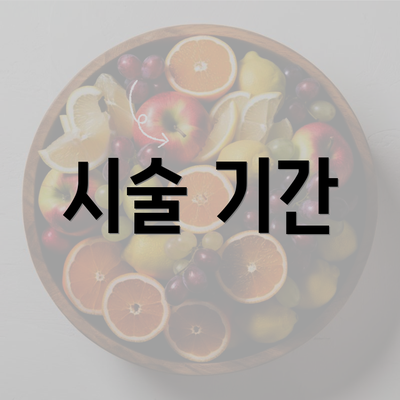 시술 기간