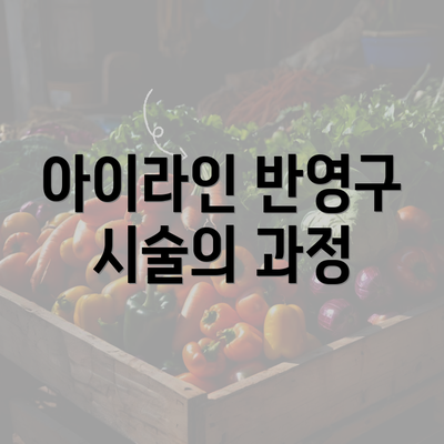 아이라인 반영구 시술의 과정