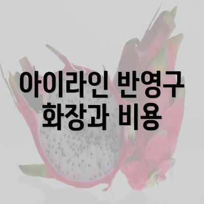 아이라인 반영구 화장과 비용