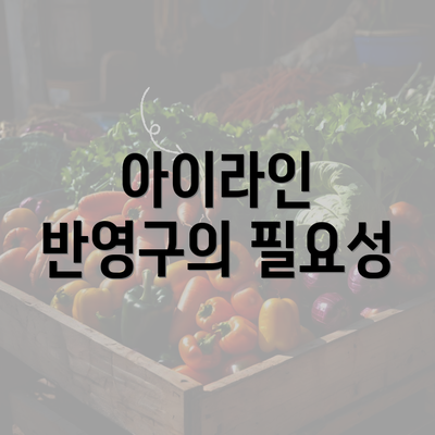 아이라인 반영구의 필요성