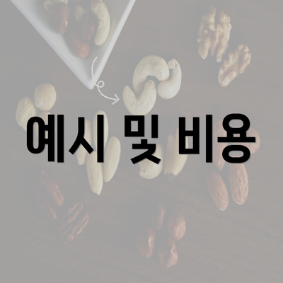 예시 및 비용