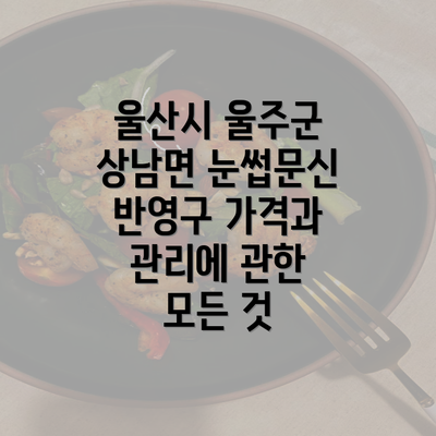 울산시 울주군 상남면 눈썹문신 반영구 가격과 관리에 관한 모든 것