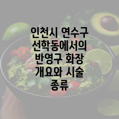 인천시 연수구 선학동에서의 반영구 화장 개요와 시술 종류