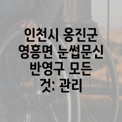 인천시 옹진군 영흥면 눈썹문신 반영구 모든 것: 관리