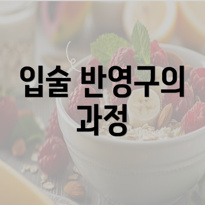 입술 반영구의 과정