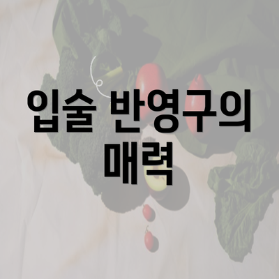 입술 반영구의 매력