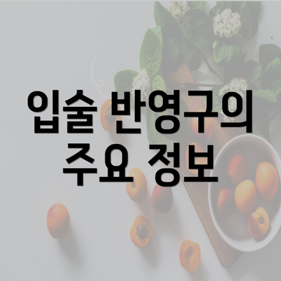 입술 반영구의 주요 정보