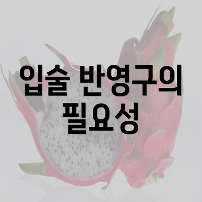 입술 반영구의 필요성