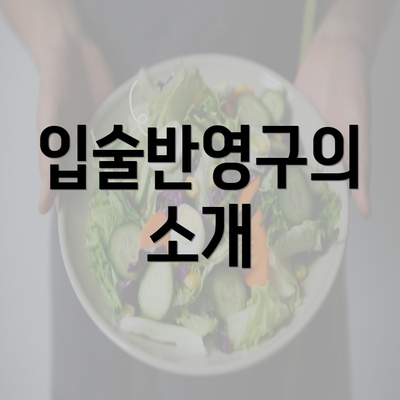 입술반영구의 소개