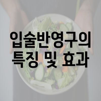 입술반영구의 특징 및 효과