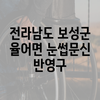 전라남도 보성군 율어면 눈썹문신 반영구