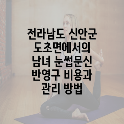 전라남도 신안군 도초면에서의 남녀 눈썹문신 반영구 비용과 관리 방법