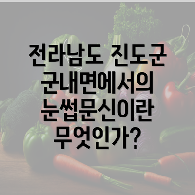 전라남도 진도군 군내면에서의 눈썹문신이란 무엇인가?