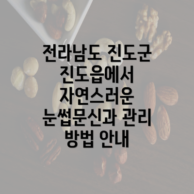 전라남도 진도군 진도읍에서 자연스러운 눈썹문신과 관리 방법 안내