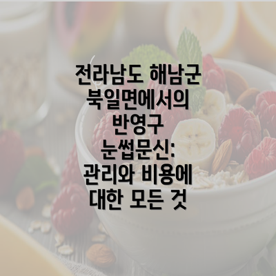 전라남도 해남군 북일면에서의 반영구 눈썹문신: 관리와 비용에 대한 모든 것