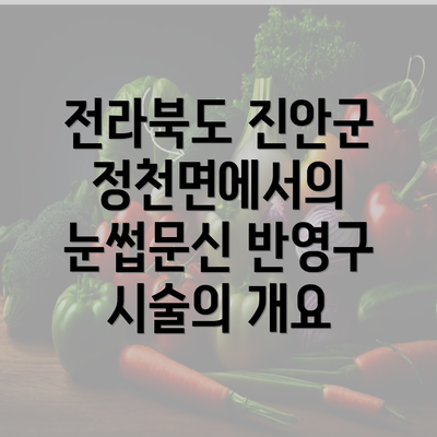 전라북도 진안군 정천면에서의 눈썹문신 반영구 시술의 개요