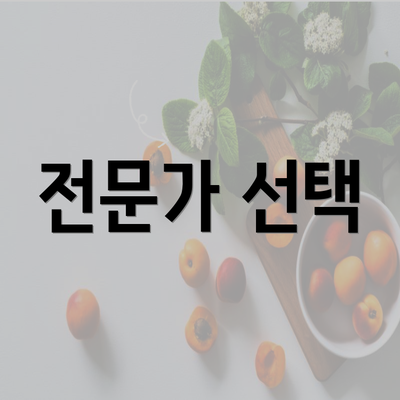 전문가 선택