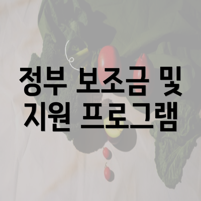 정부 보조금 및 지원 프로그램