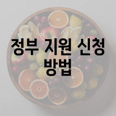 정부 지원 신청 방법