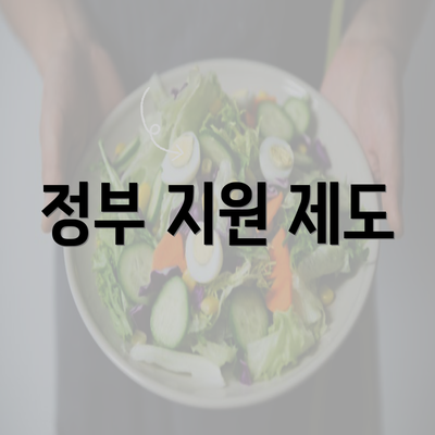 정부 지원 제도