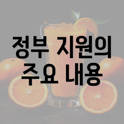 정부 지원의 주요 내용