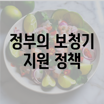 정부의 보청기 지원 정책