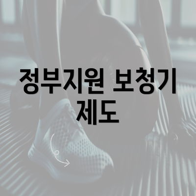 정부지원 보청기 제도