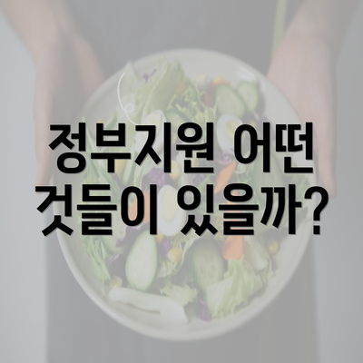 정부지원 어떤 것들이 있을까?