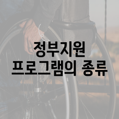 정부지원 프로그램의 종류