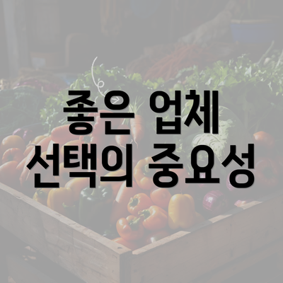 좋은 업체 선택의 중요성