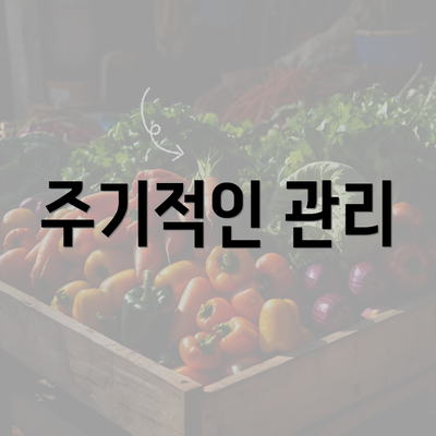 주기적인 관리