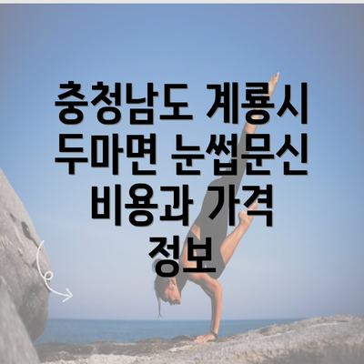 충청남도 계룡시 두마면 눈썹문신 비용과 가격 정보