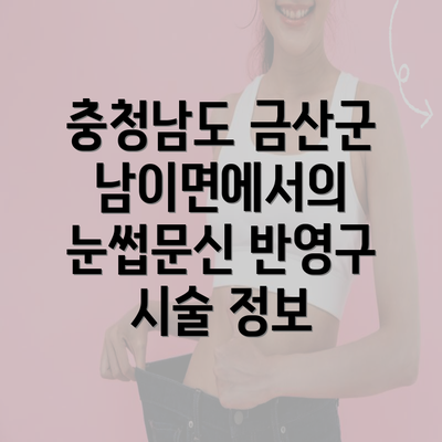 충청남도 금산군 남이면에서의 눈썹문신 반영구 시술 정보