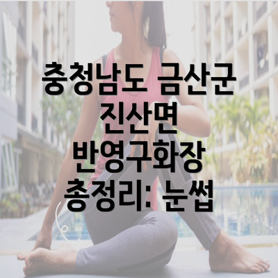 충청남도 금산군 진산면 반영구화장 총정리: 눈썹