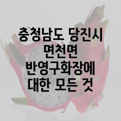 충청남도 당진시 면천면 반영구화장에 대한 모든 것