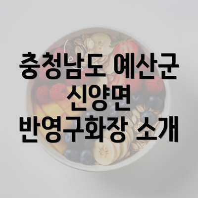 충청남도 예산군 신양면 반영구화장 소개