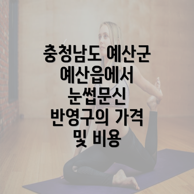 충청남도 예산군 예산읍에서 눈썹문신 반영구의 가격 및 비용