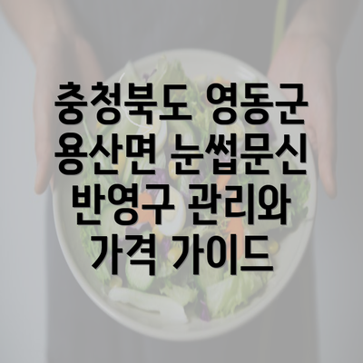 충청북도 영동군 용산면 눈썹문신 반영구 관리와 가격 가이드