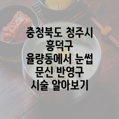 충청북도 청주시 흥덕구 율량동에서 눈썹 문신 반영구 시술 알아보기