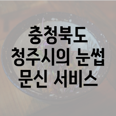 충청북도 청주시의 눈썹 문신 서비스