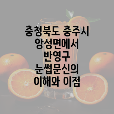 충청북도 충주시 앙성면에서 반영구 눈썹문신의 이해와 이점