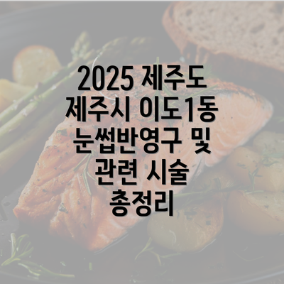 2025 제주도 제주시 이도1동 눈썹반영구 및 관련 시술 총정리