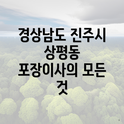 경상남도 진주시 상평동 포장이사의 모든 것