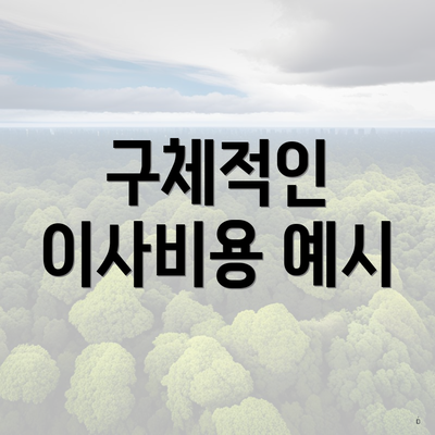 구체적인 이사비용 예시